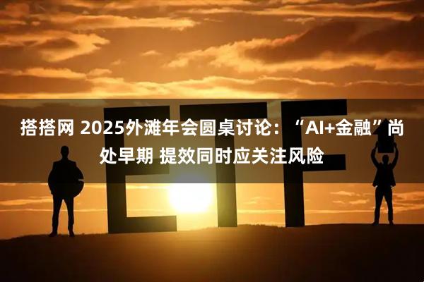 搭搭网 2025外滩年会圆桌讨论：“AI+金融”尚处早期 提效同时应关注风险